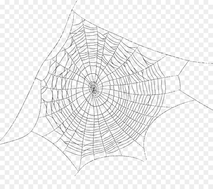 Detail Web Spider Png Nomer 47