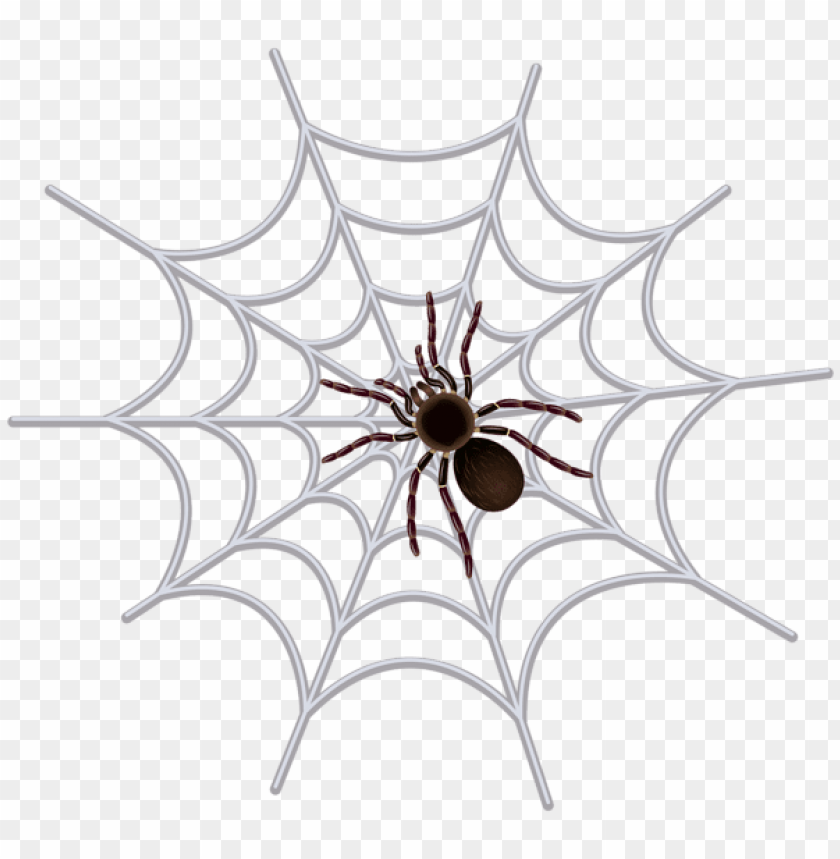 Detail Web Spider Png Nomer 53