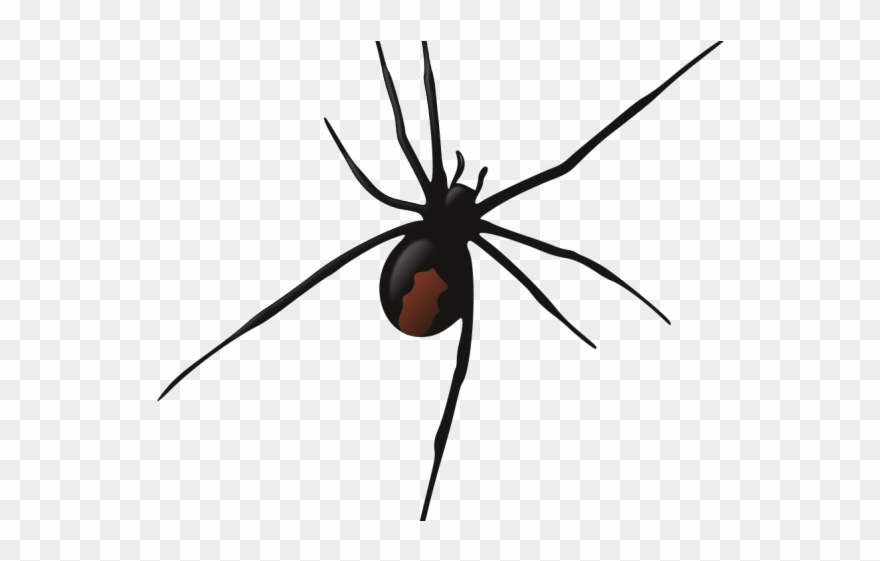 Detail Web Spider Png Nomer 55