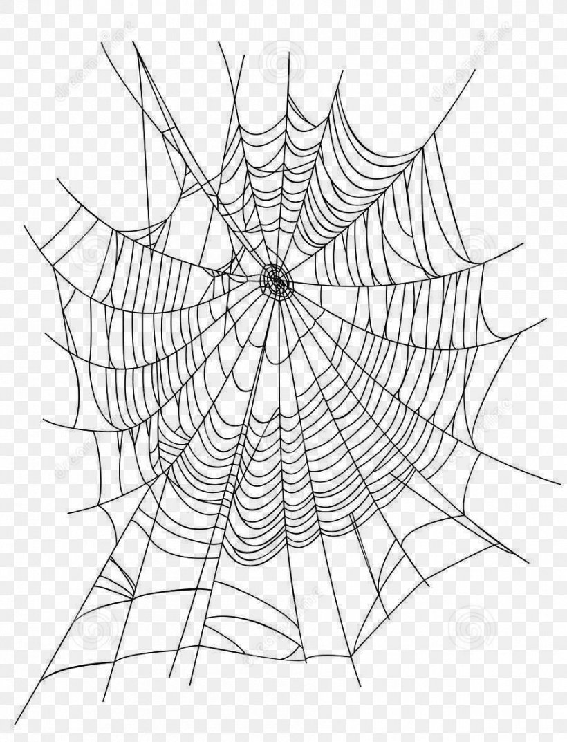 Detail Web Spider Png Nomer 9