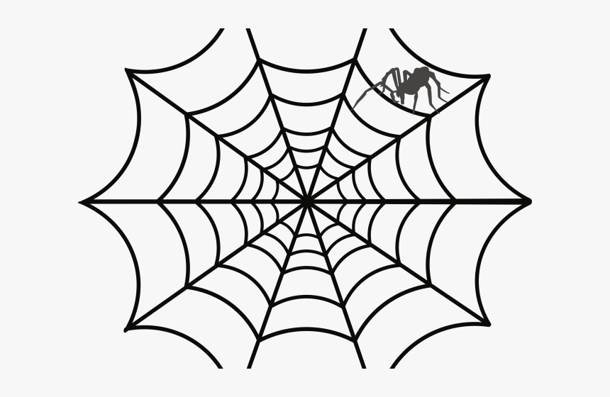 Detail Web Spider Png Nomer 10