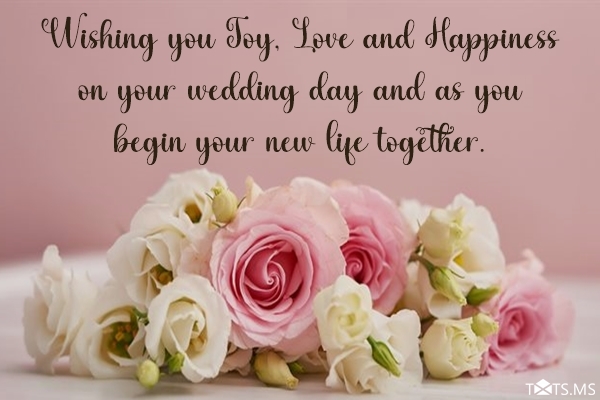 Detail Wedding Greetings Quotes Nomer 19