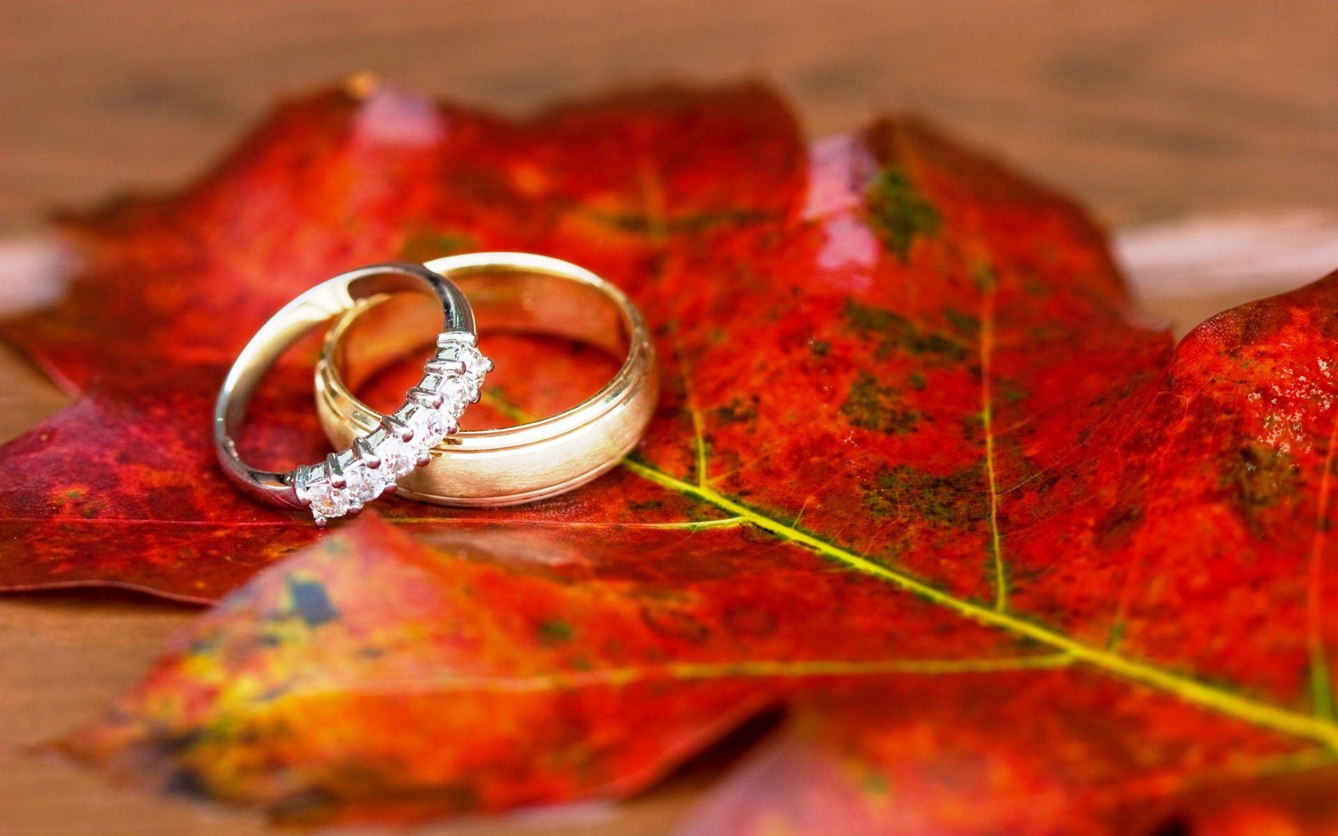 Detail Wedding Ring Wallpaper Nomer 20