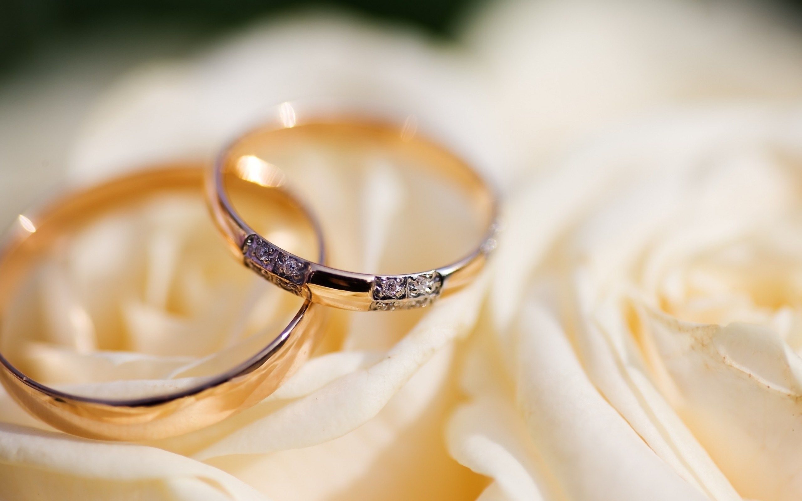 Detail Wedding Rings Background Nomer 21