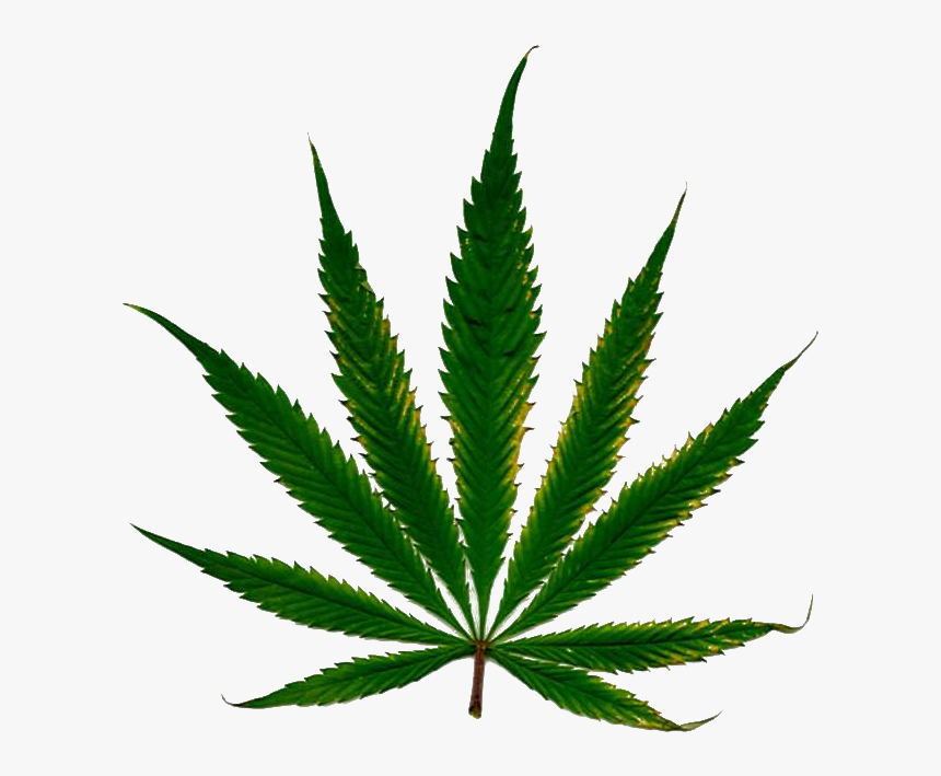Detail Weed Background Hd Nomer 55