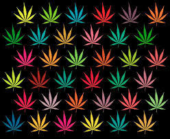 Detail Weed Backgrounds Tumblr Nomer 40