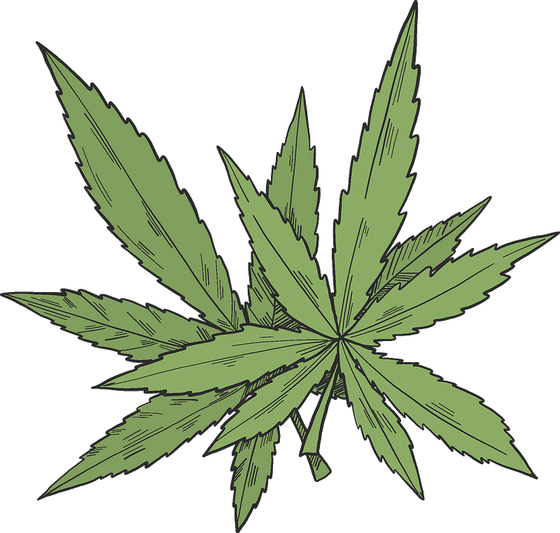 Detail Weed Clipart Nomer 53