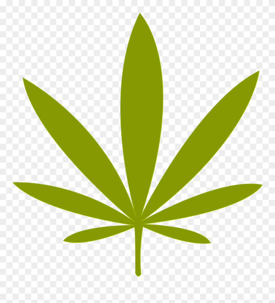 Detail Weed Clipart Png Nomer 11