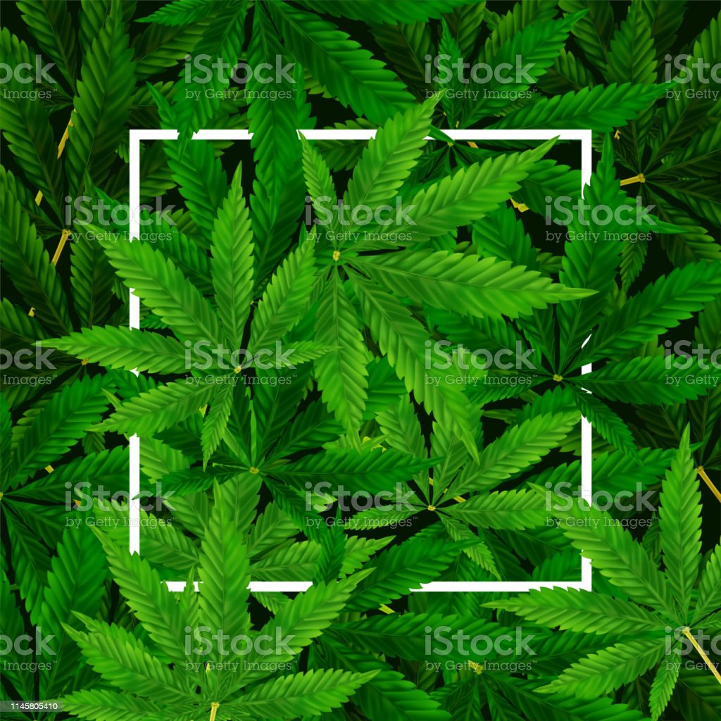 Detail Weed Leaf Background Nomer 24