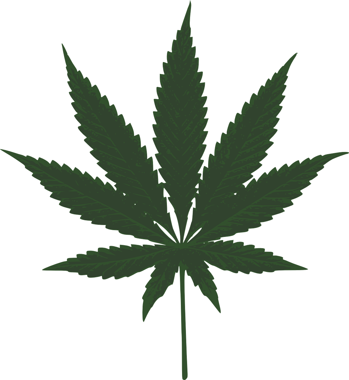 Detail Weed Leaf Background Nomer 34
