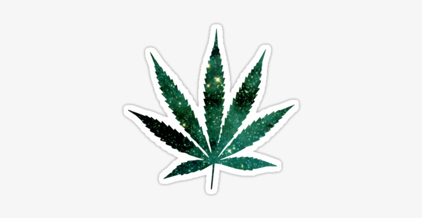 Detail Weed Leaf No Background Nomer 40