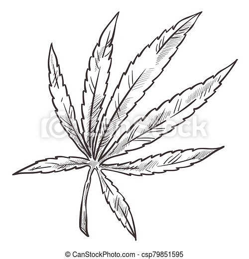 Detail Weed Leaf Outline Drawing Nomer 52