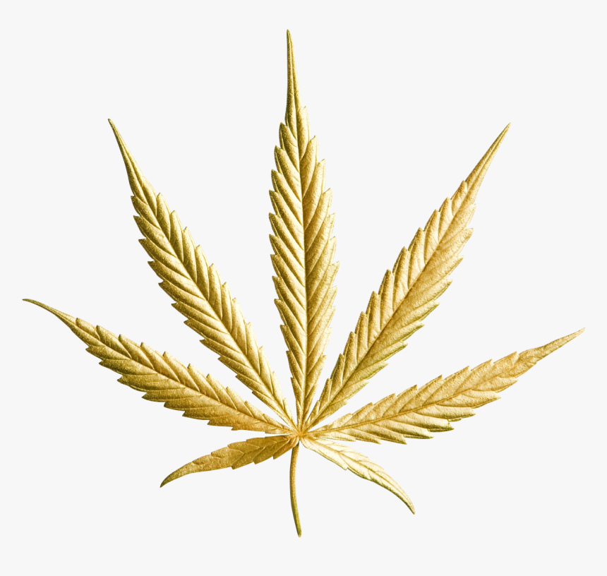 Detail Weed Leaf Png Nomer 57