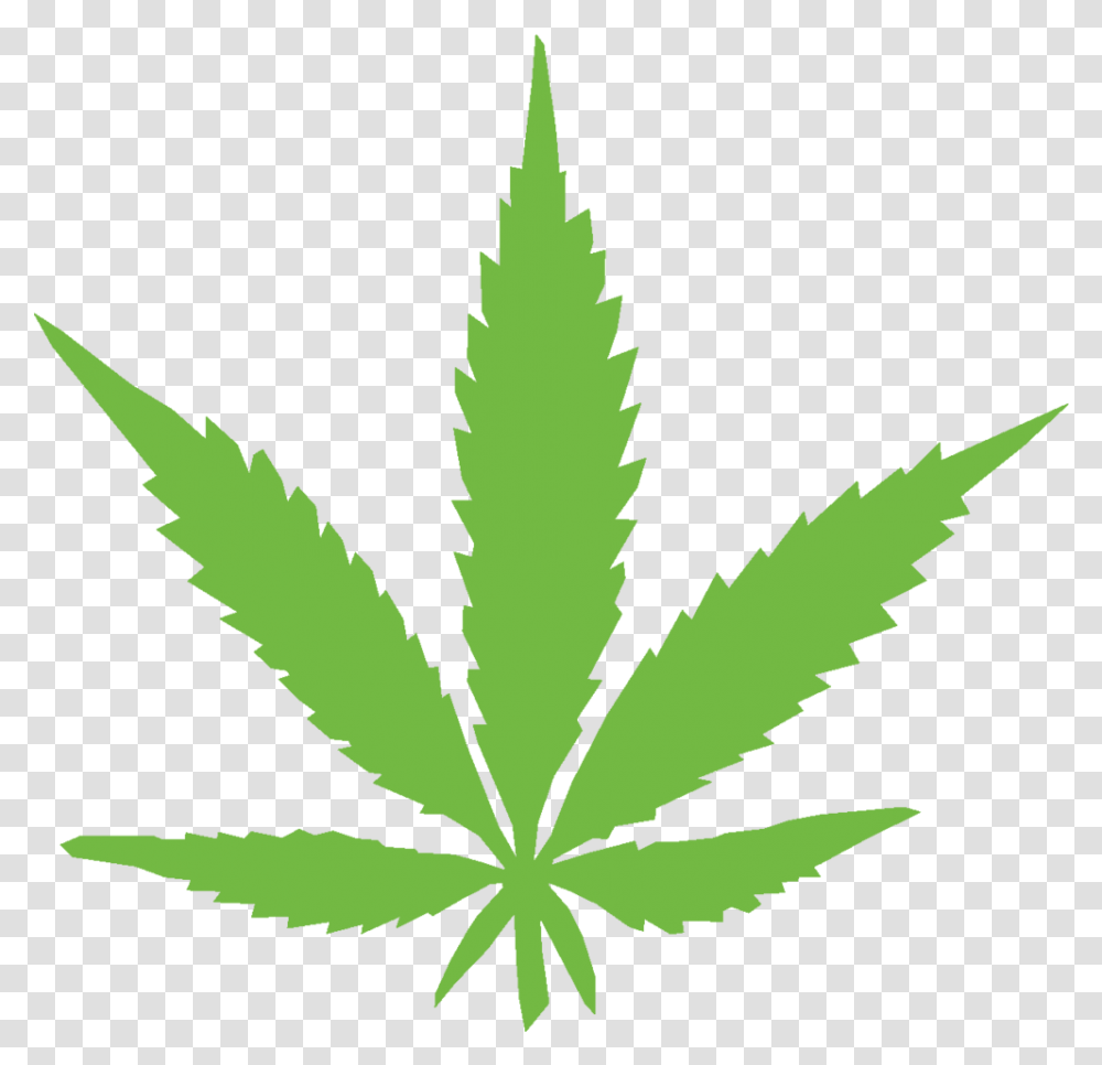 Detail Weed Leaf Transparent Nomer 45