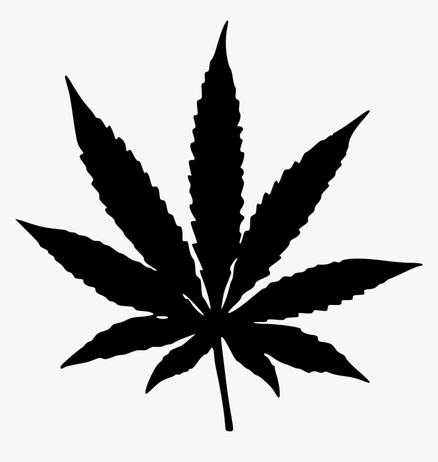 Detail Weed Leaf Transparent Nomer 5