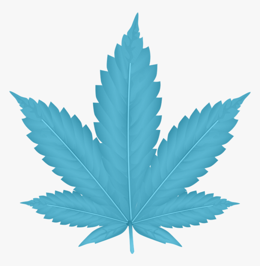 Detail Weed Leaf Transparent Nomer 52