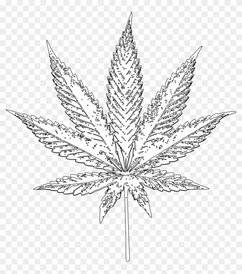 Detail Weed Leaf Transparent Nomer 54