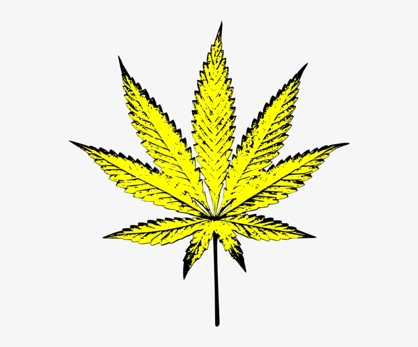 Detail Weed Leaf Transparent Nomer 55