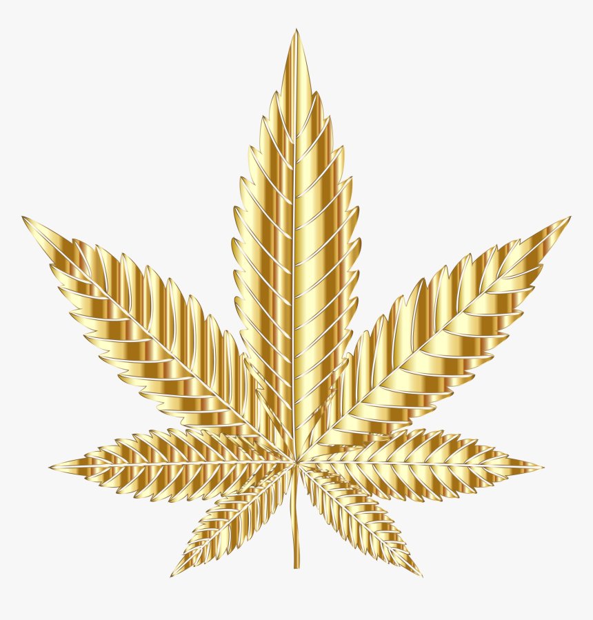 Detail Weed Leaf Transparent Nomer 56