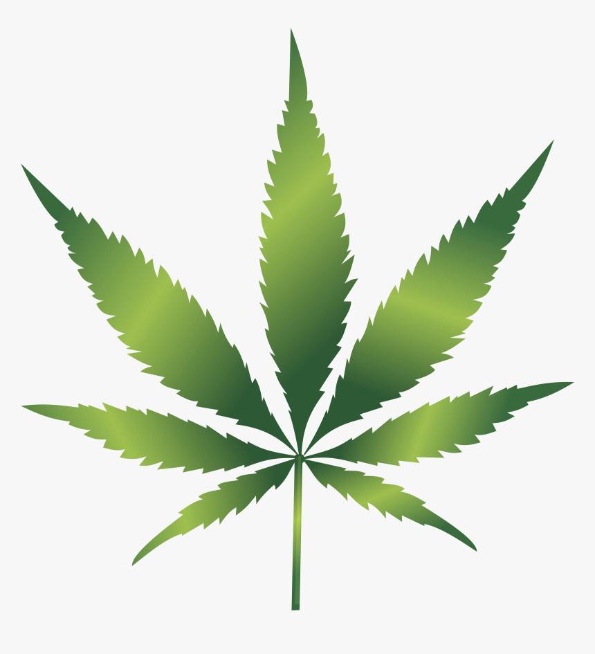 Detail Weed Leaf Transparent Nomer 8