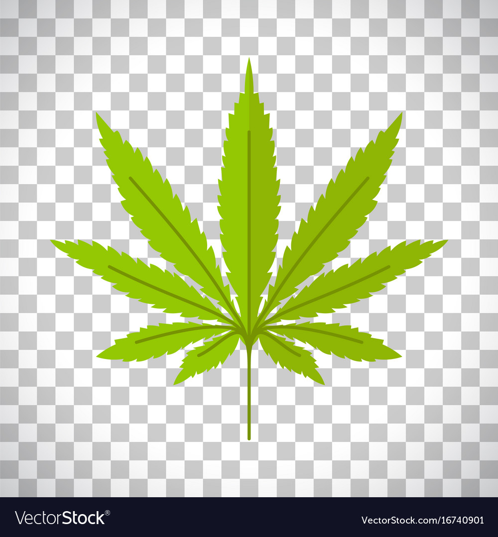 Weed Leaf Transparent Background - KibrisPDR