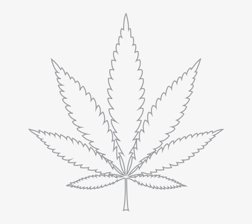 Detail Weed Leaf Transparent Png Nomer 18