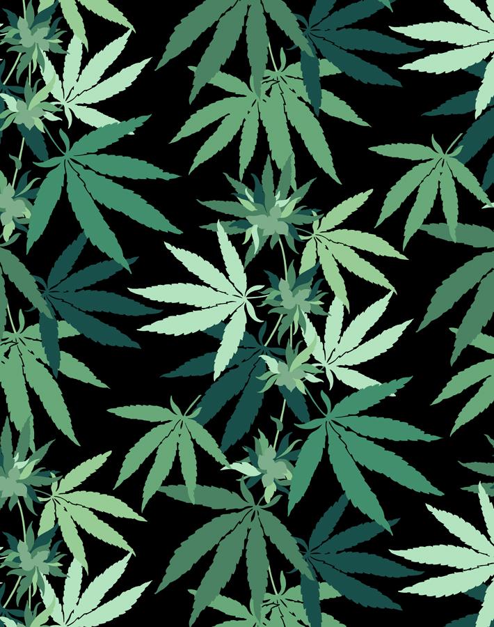 Detail Weed Pics Wallpaper Nomer 18