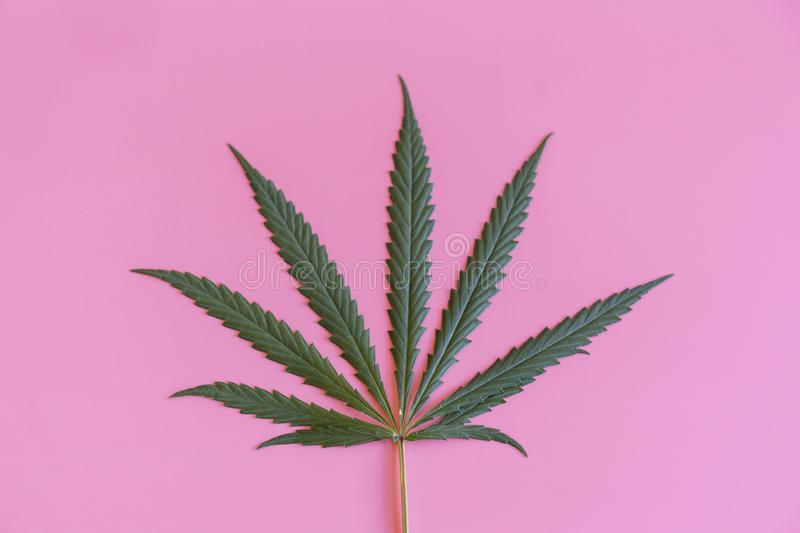 Detail Weed Pics Wallpaper Nomer 25