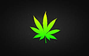 Detail Weed Pics Wallpaper Nomer 31