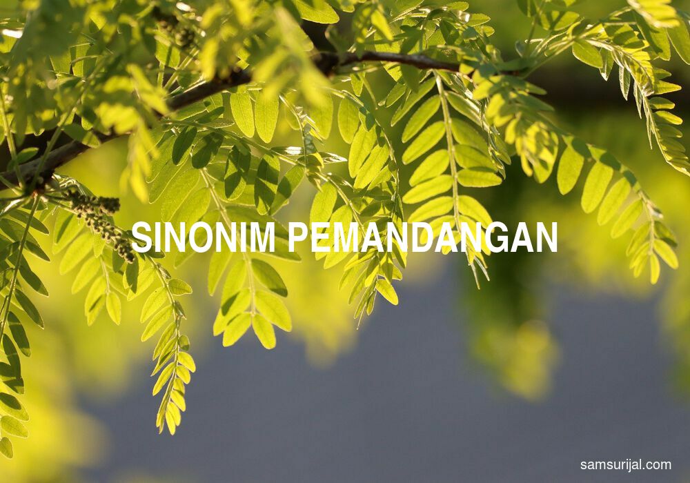 Detail Sinonim Kata Pemandangan Nomer 39