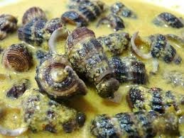 Detail Siput Laut Yang Bisa Dimakan Nomer 44