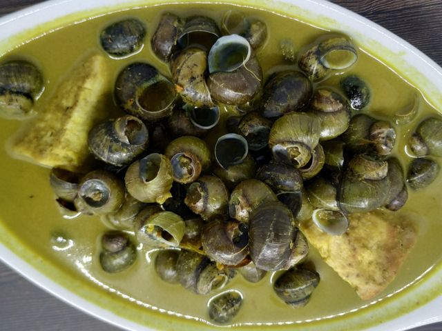 Detail Siput Laut Yang Bisa Dimakan Nomer 46