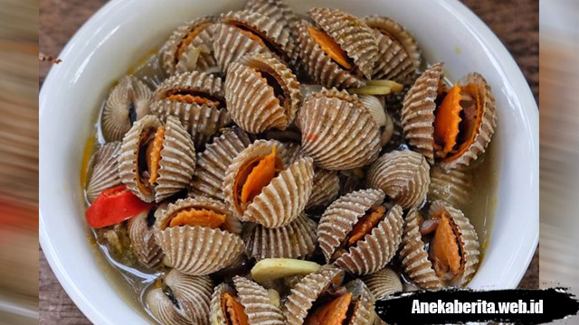 Detail Siput Laut Yang Bisa Dimakan Nomer 48