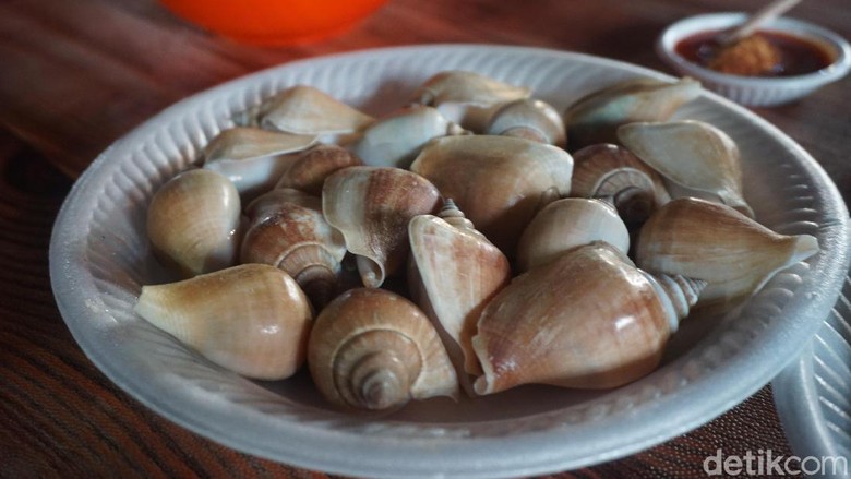 Detail Siput Laut Yang Bisa Dimakan Nomer 49