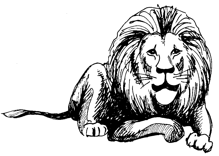 Detail Sitting Lion Clipart Nomer 53