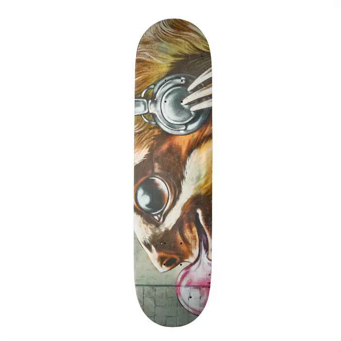Detail Skateboard Sloth Nomer 39