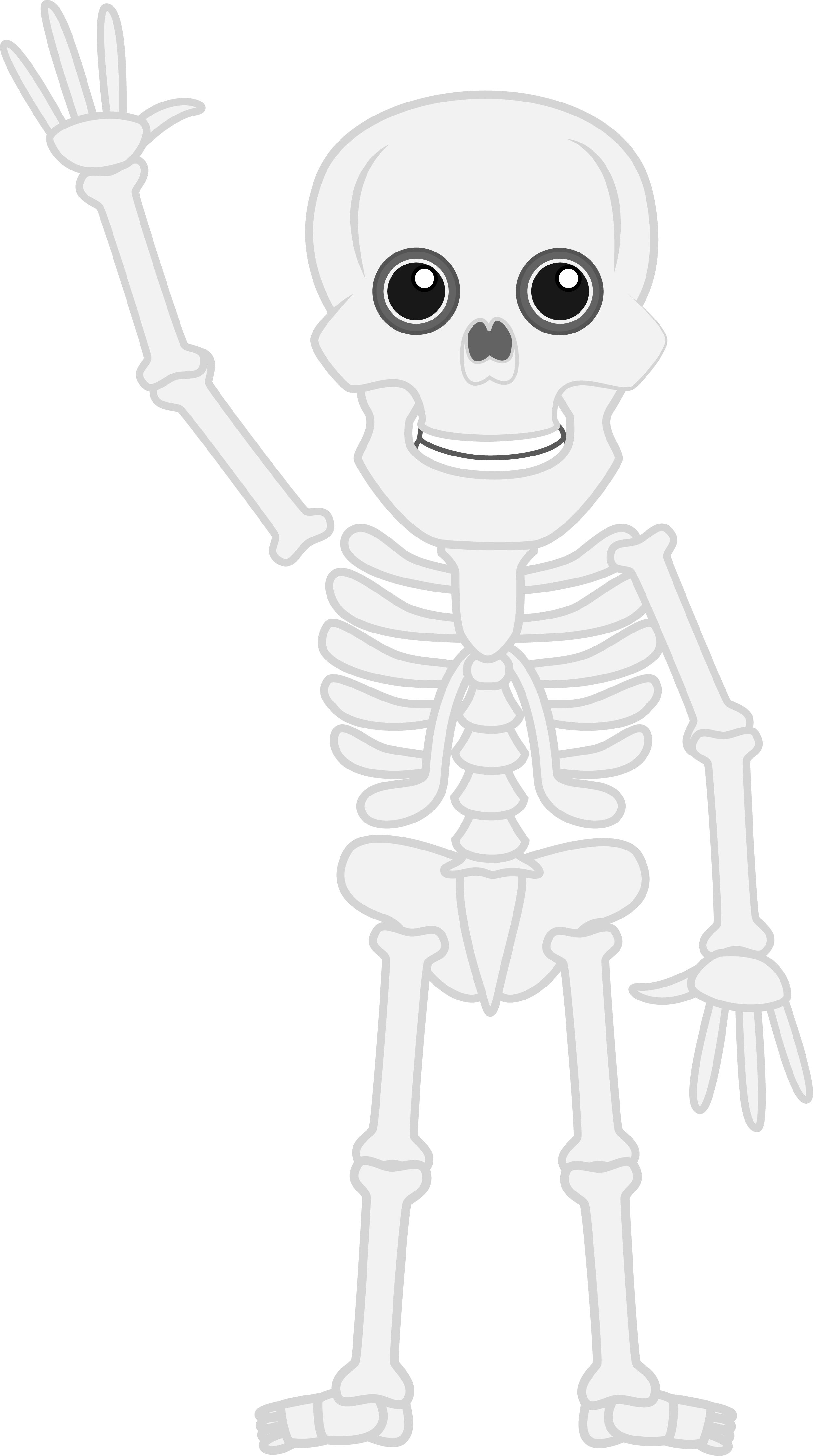 Detail Skeleton Cartoon Png Nomer 15