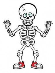 Detail Skeleton Cartoon Png Nomer 26