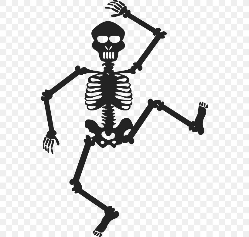 Detail Skeleton Cartoon Png Nomer 49