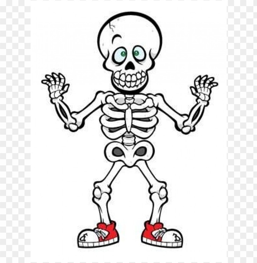 Detail Skeleton Clipart Png Nomer 27