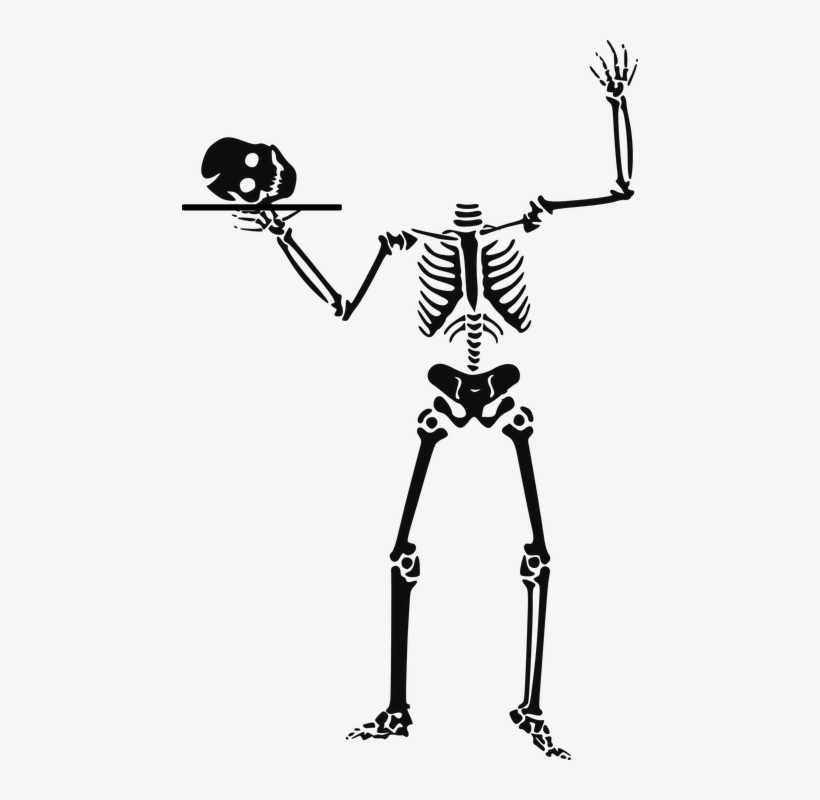 Detail Skeleton Clipart Png Nomer 29