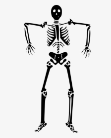 Detail Skeleton Clipart Png Nomer 36
