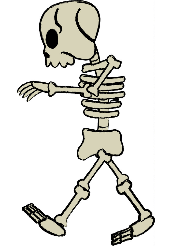 Detail Skeleton Clipart Png Nomer 37