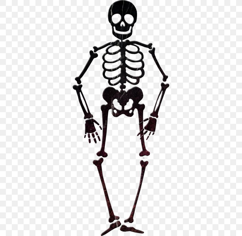 Detail Skeleton Clipart Png Nomer 41