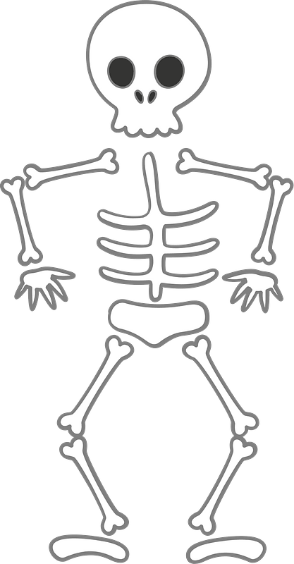 Detail Skeleton Clipart Png Nomer 8