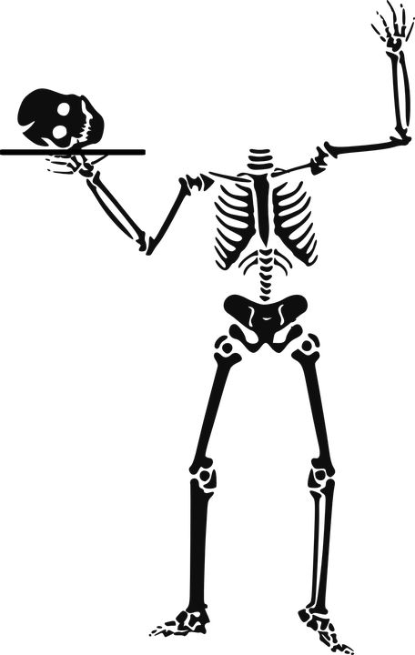 Detail Skeleton Clipart Transparent Nomer 19