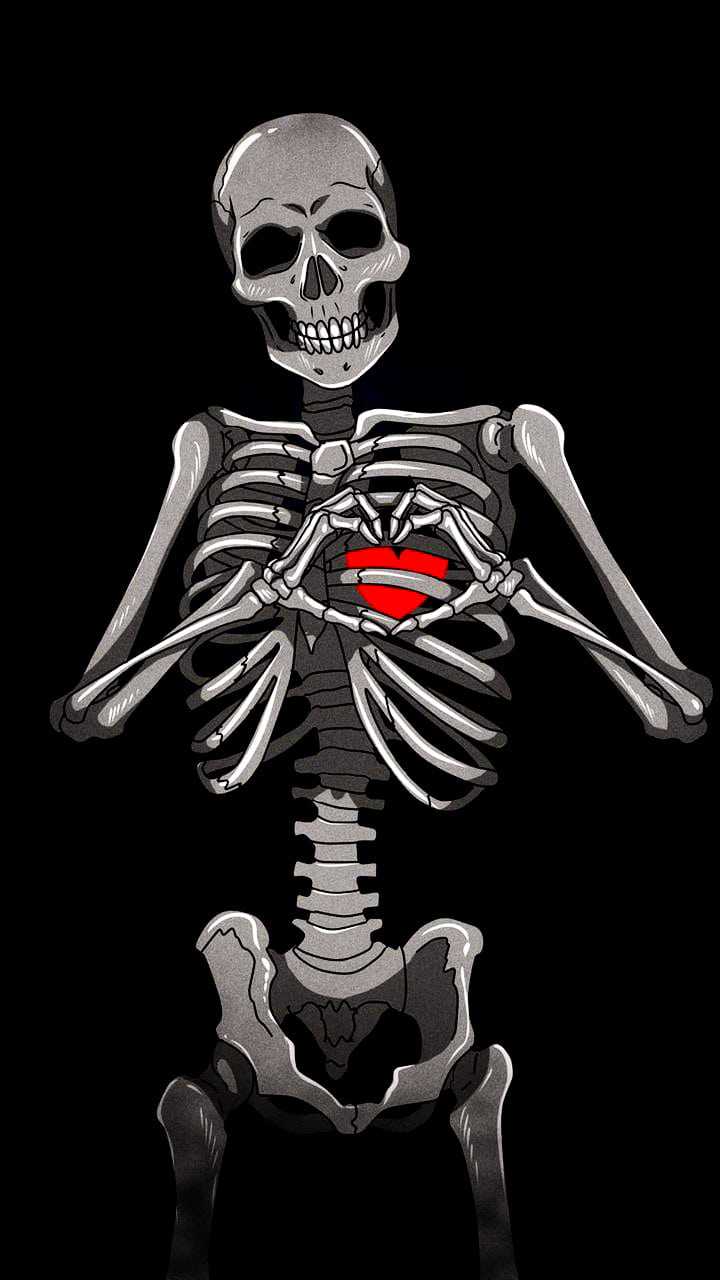 Detail Skeleton Download Nomer 24