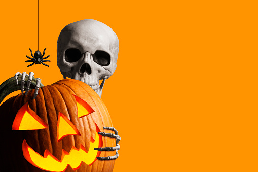 Detail Skeleton Download Nomer 28