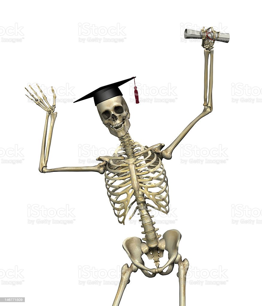 Detail Skeleton Download Nomer 39