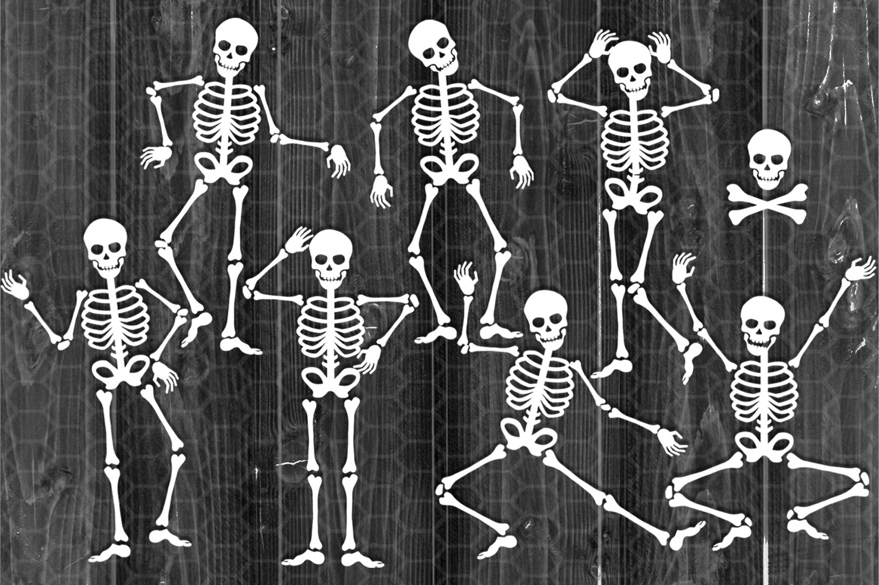 Detail Skeleton Download Nomer 46
